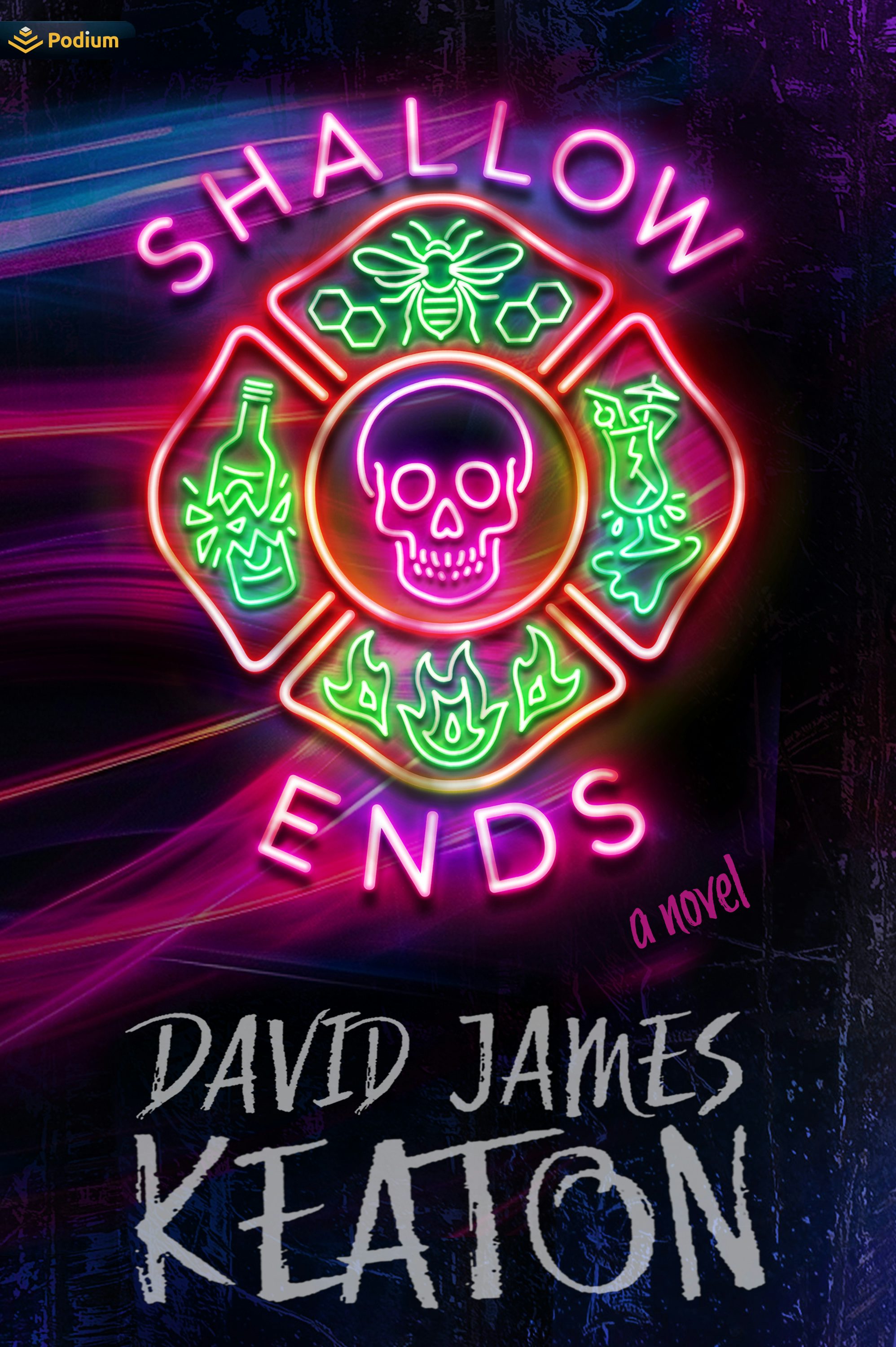 Book cover image for Shallow Ends ISBN: 9781039467477